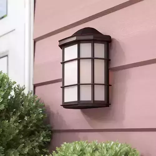 Boone Oil Rubbed Bronze Glass Outdoor Wall Lantern