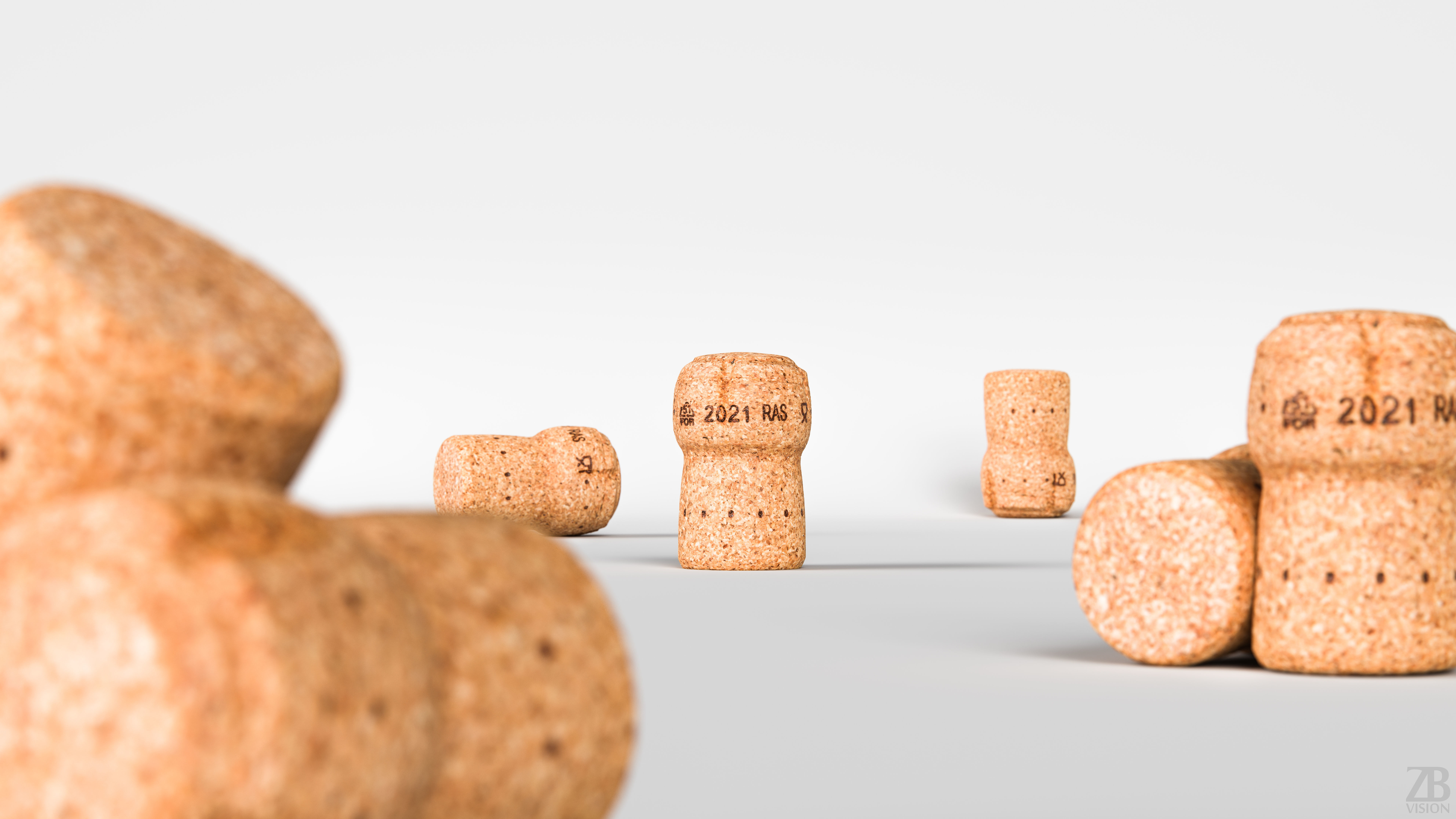 Cork 3D model_1