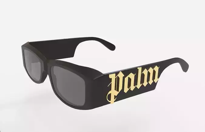 Palm Angels Sunglasses 3D model