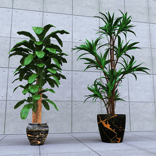 Plants Collection 01 model 3D model 3D model