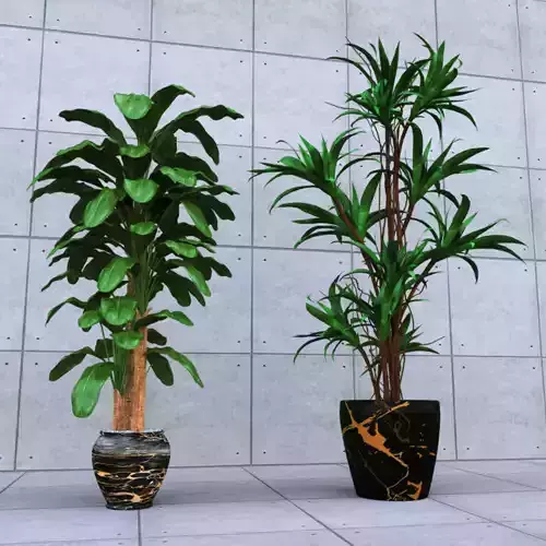 Plants Collection 01 model 3D model