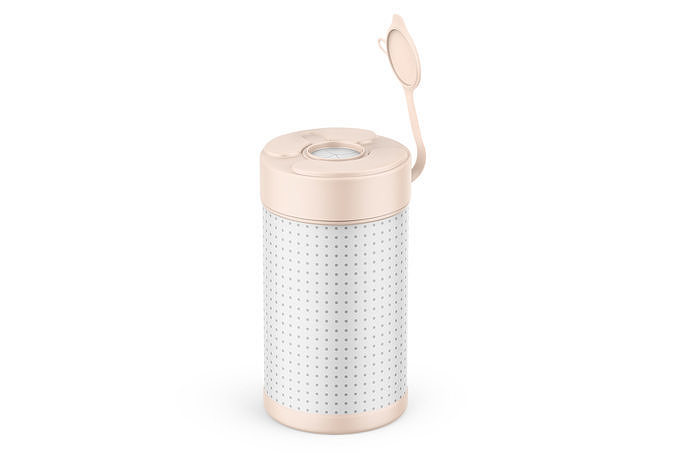 Wipes Jar 3D Model Low Poly Low-poly 3D model
