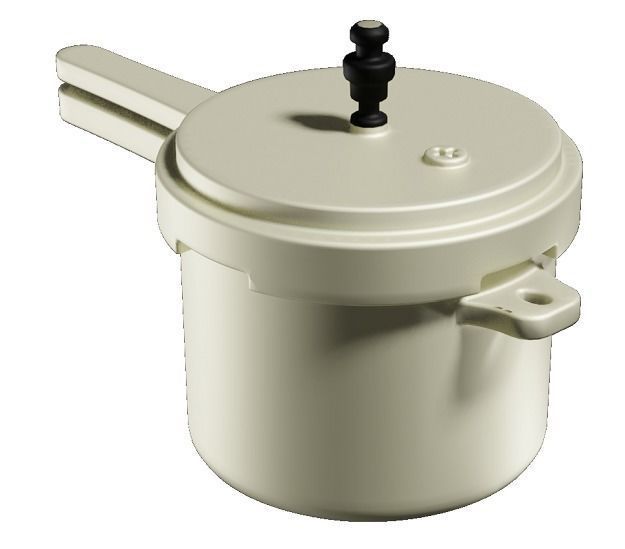 Spectacular Cooker Low-poly 3D model_1