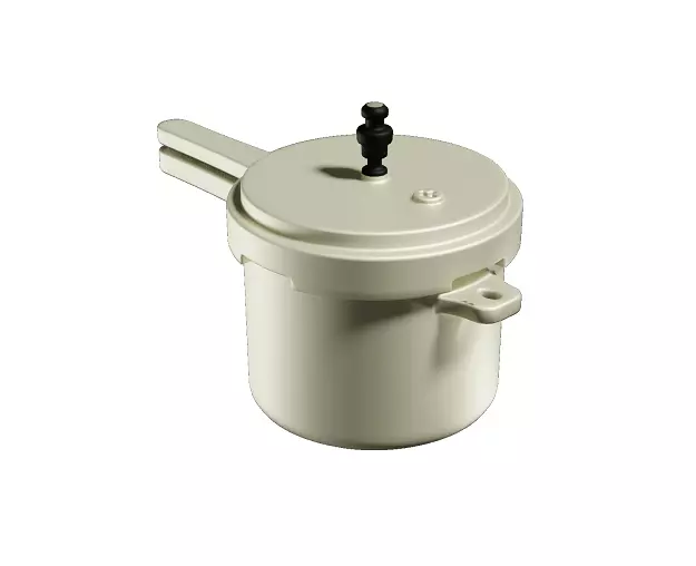 Spectacular Cooker Low-poly 3D model_0