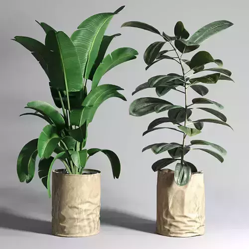 collection Indoor plant 88 paper vase envelope vase pot palnt