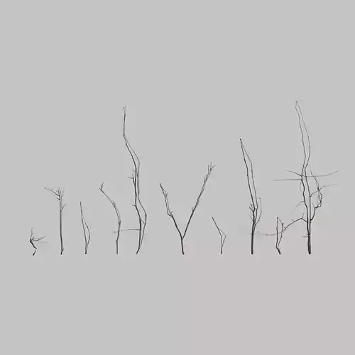 Mountain Ash Twigs Low-poly 3D model