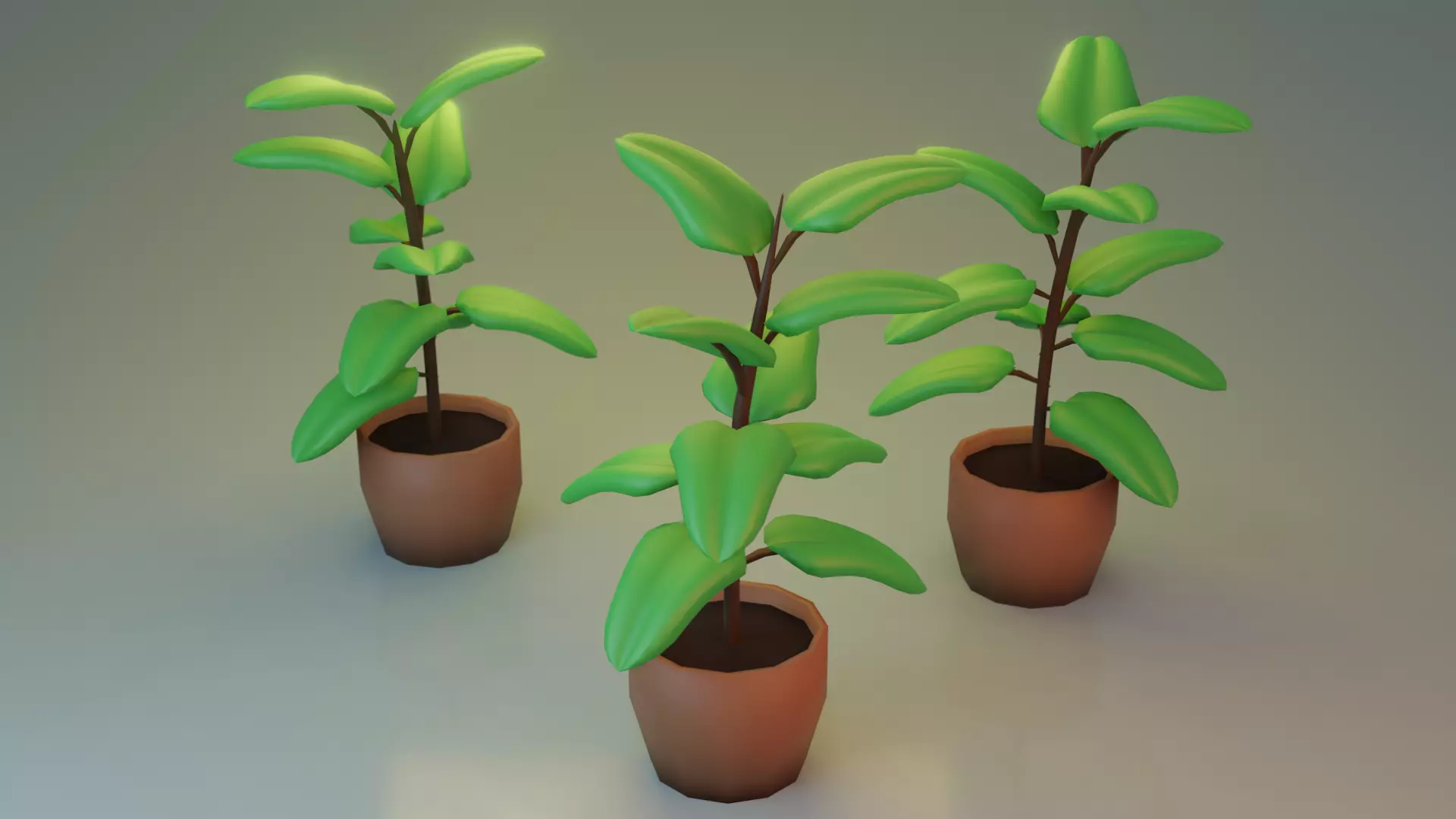 Ficus Plant Stylized Free low-poly 3D model