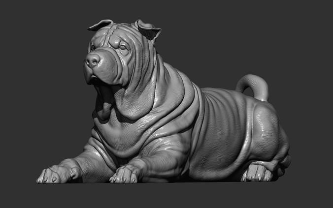 Shar-Pei 3D print high detail model 3D print model