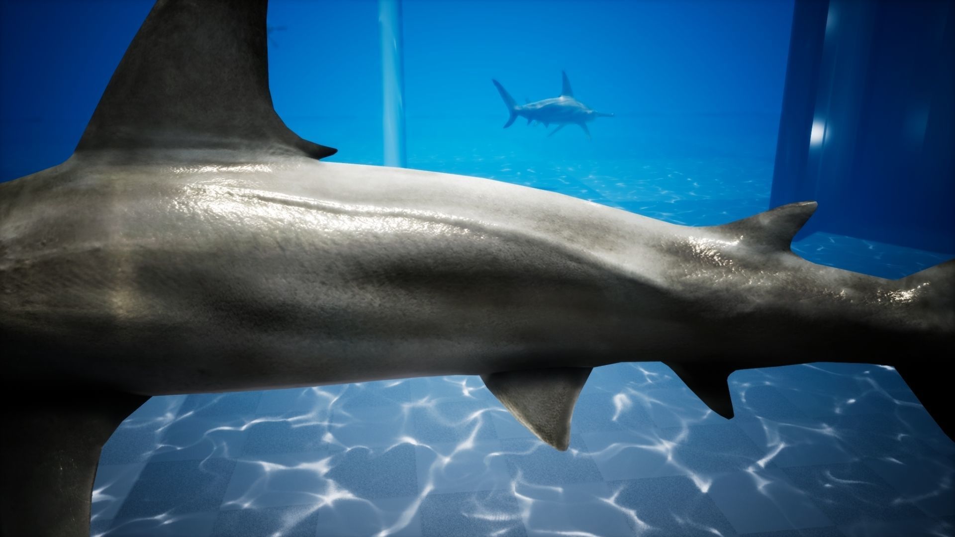 Hammerhead Shark with UE4 Support Low-poly 3D model_12