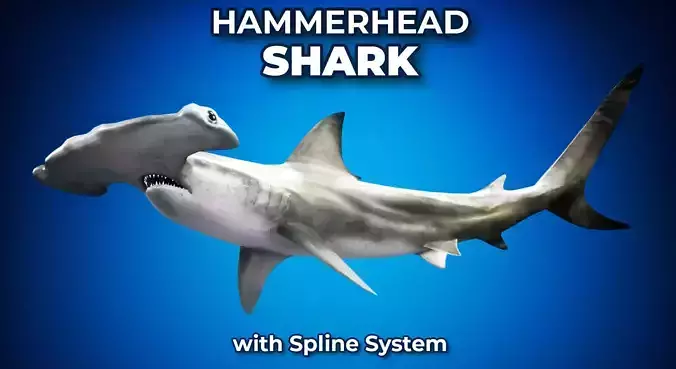 Hammerhead Shark with UE4 Support Low-poly 3D model