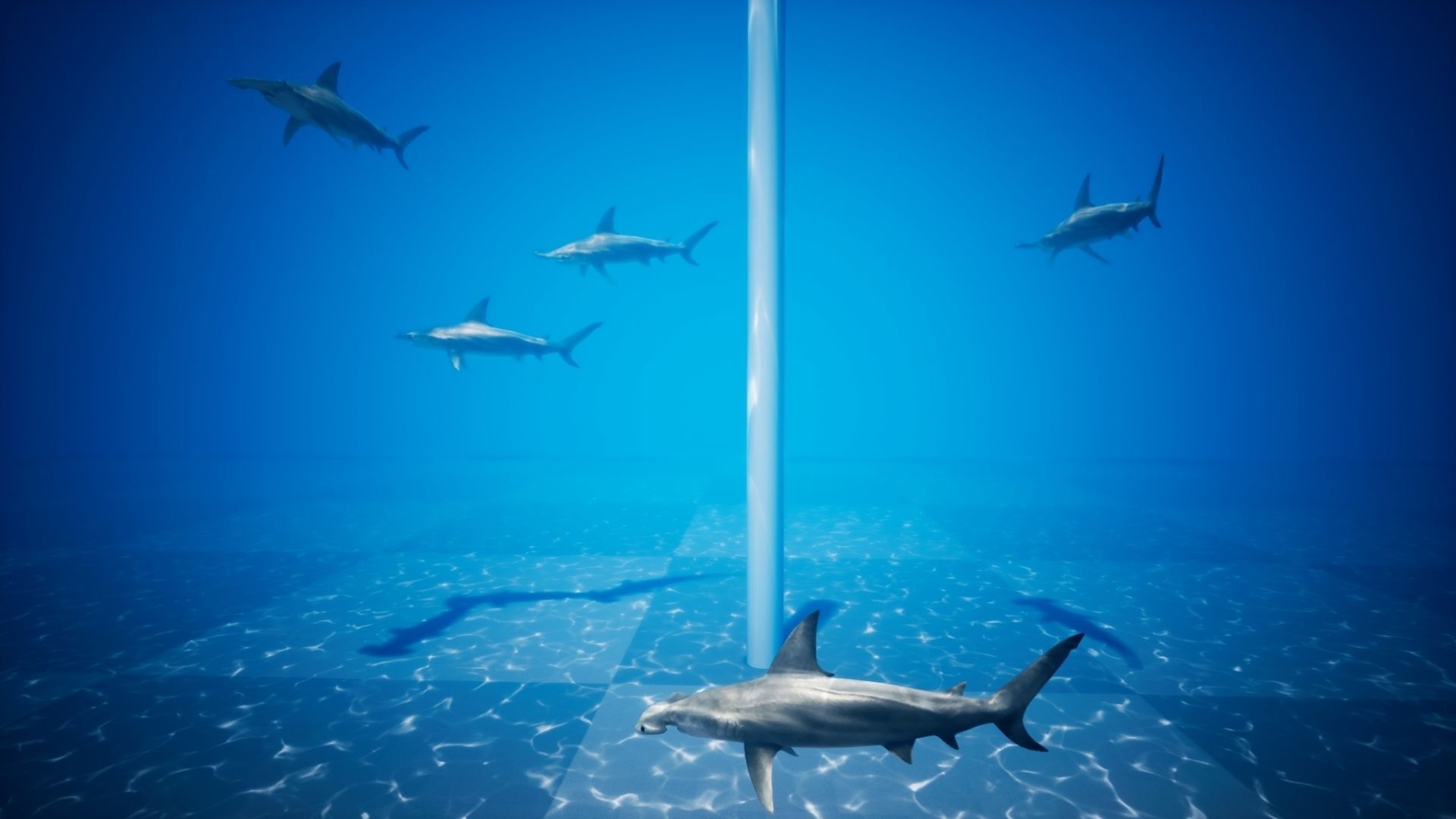 Hammerhead Shark with UE4 Support Low-poly 3D model_10