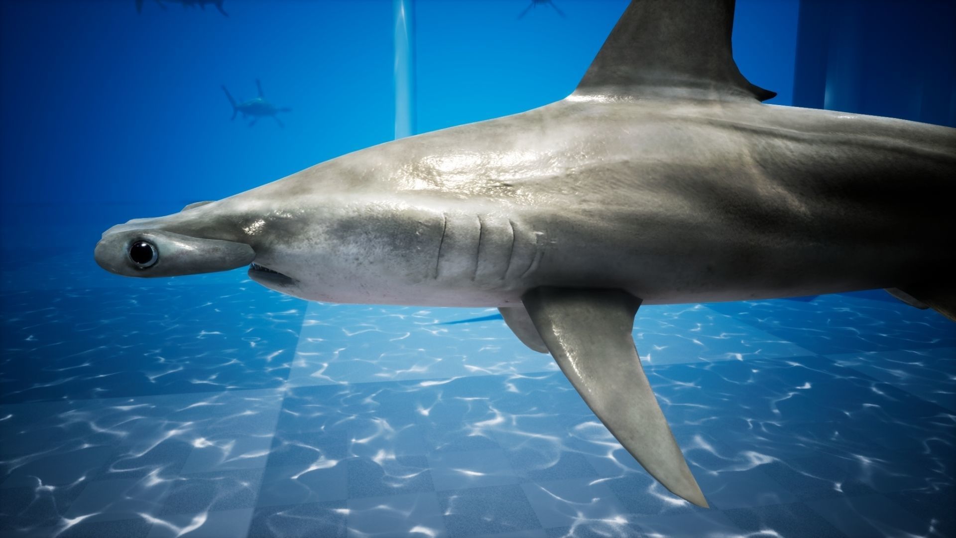 Hammerhead Shark with UE4 Support Low-poly 3D model_16