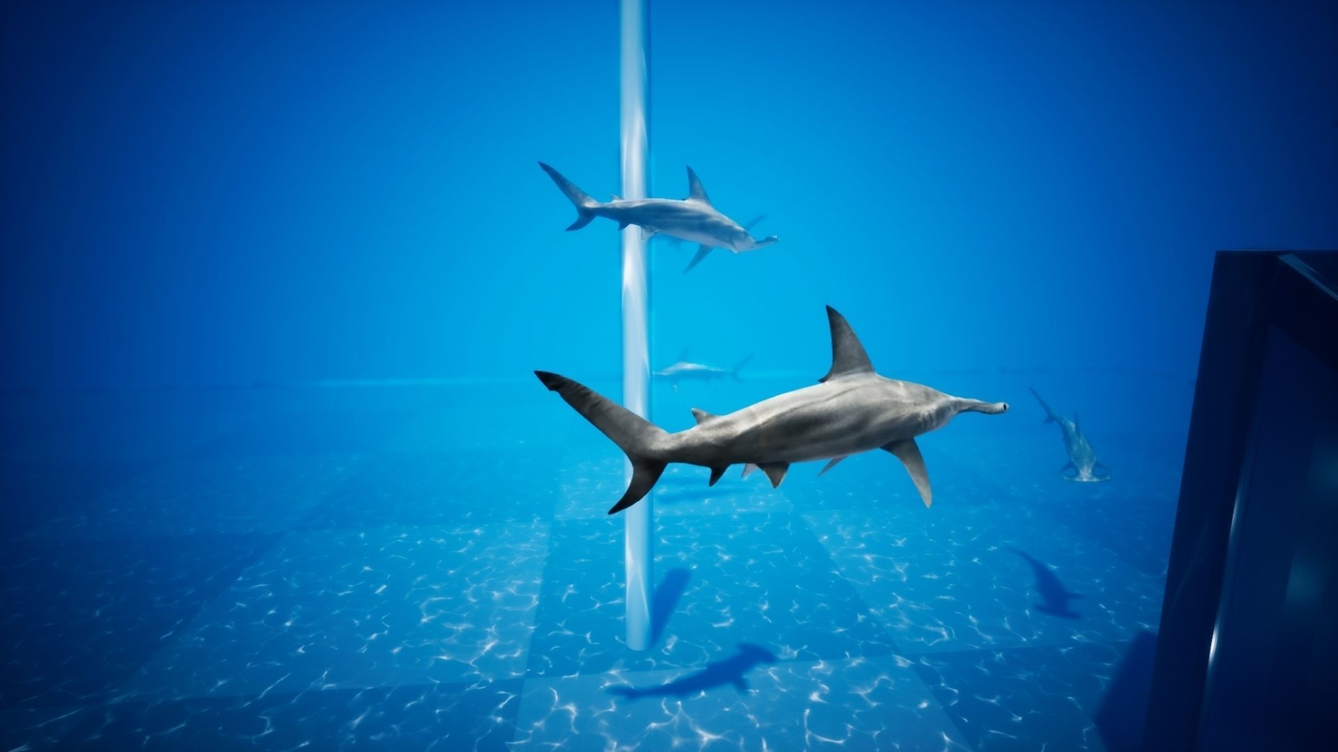 Hammerhead Shark with UE4 Support Low-poly 3D model_17