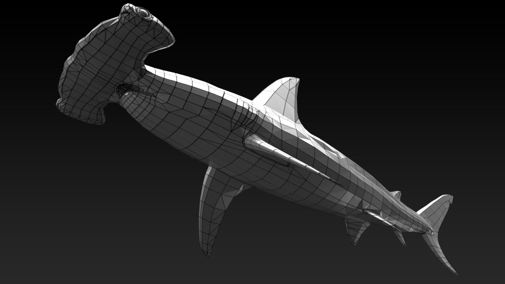 Hammerhead Shark with UE4 Support Low-poly 3D model_15