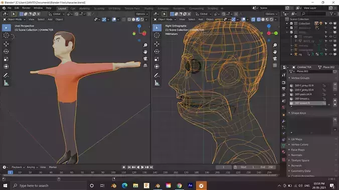 A character 3d modelled