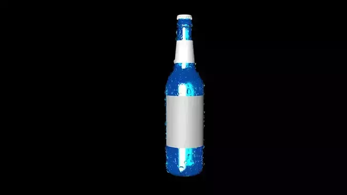 Realistic Bottle