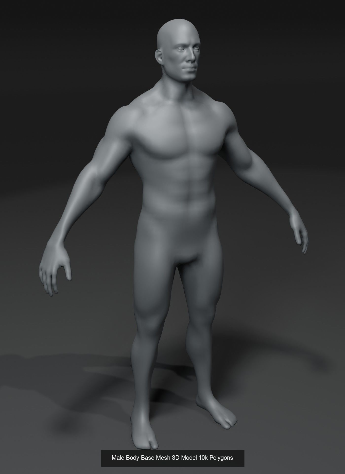Human Body Base Mesh 40 Models Collection _83