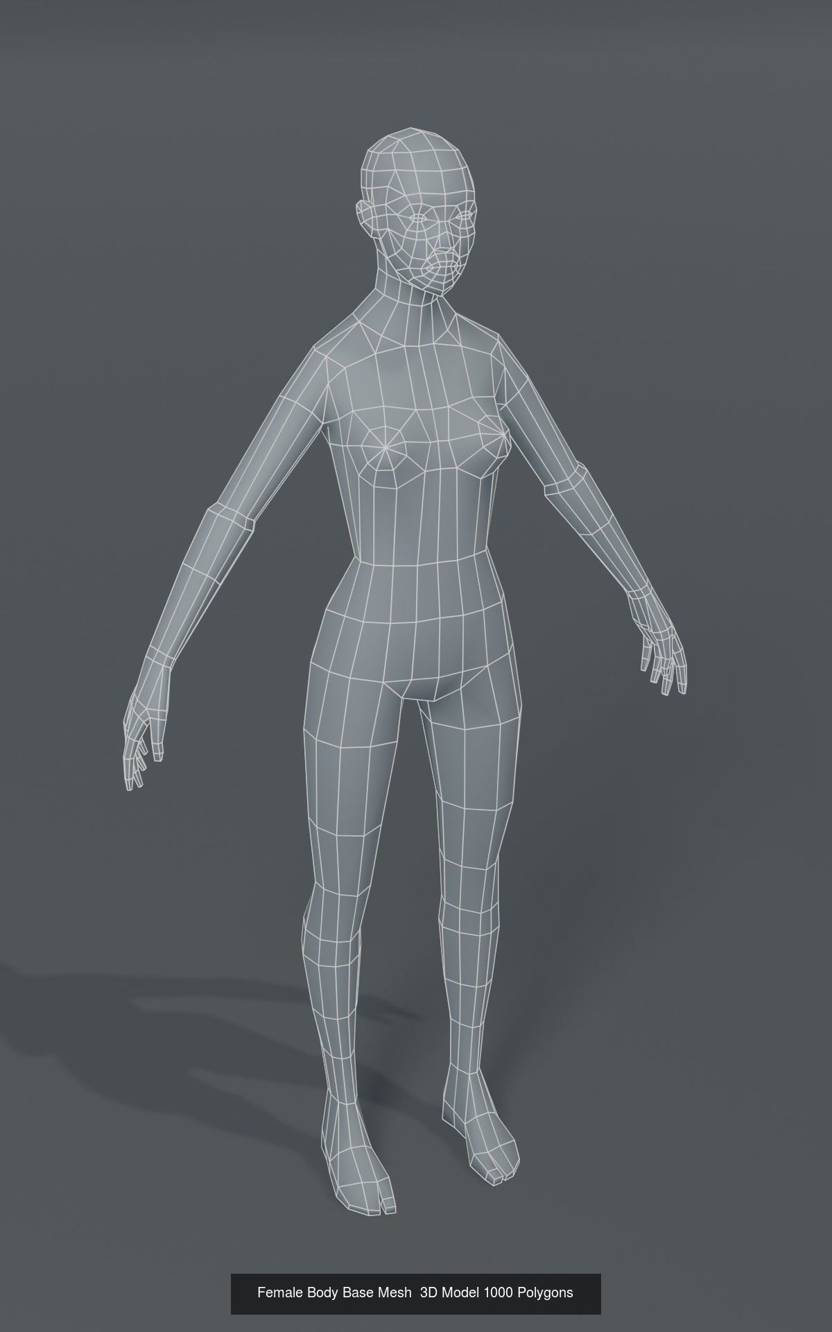 Human Body Base Mesh 40 Models Collection _65