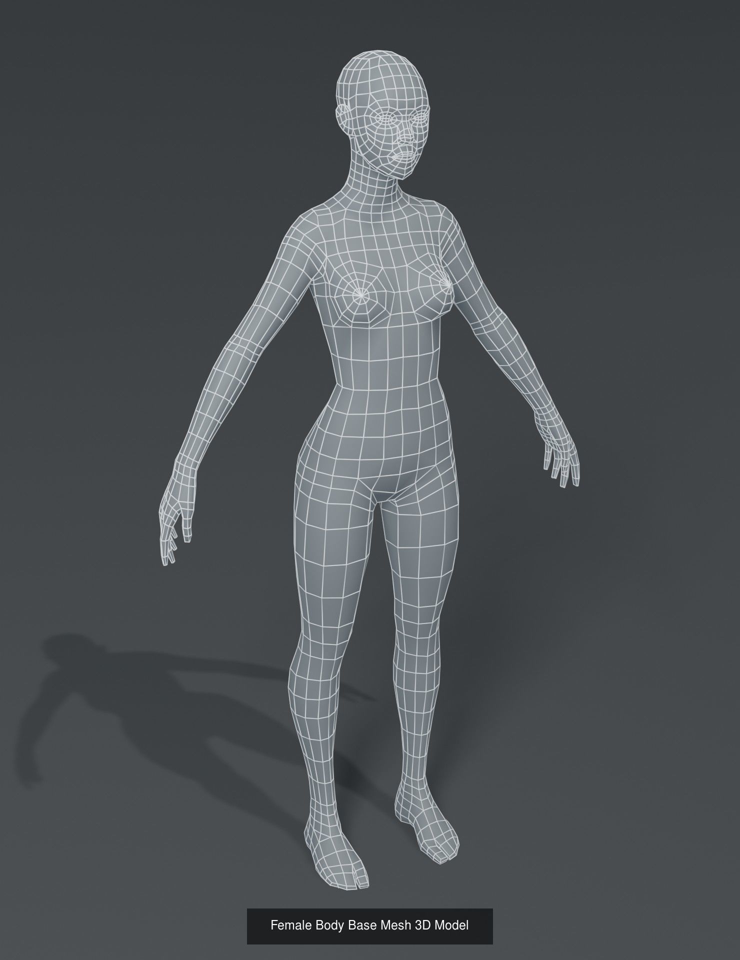 Human Body Base Mesh 40 Models Collection _45