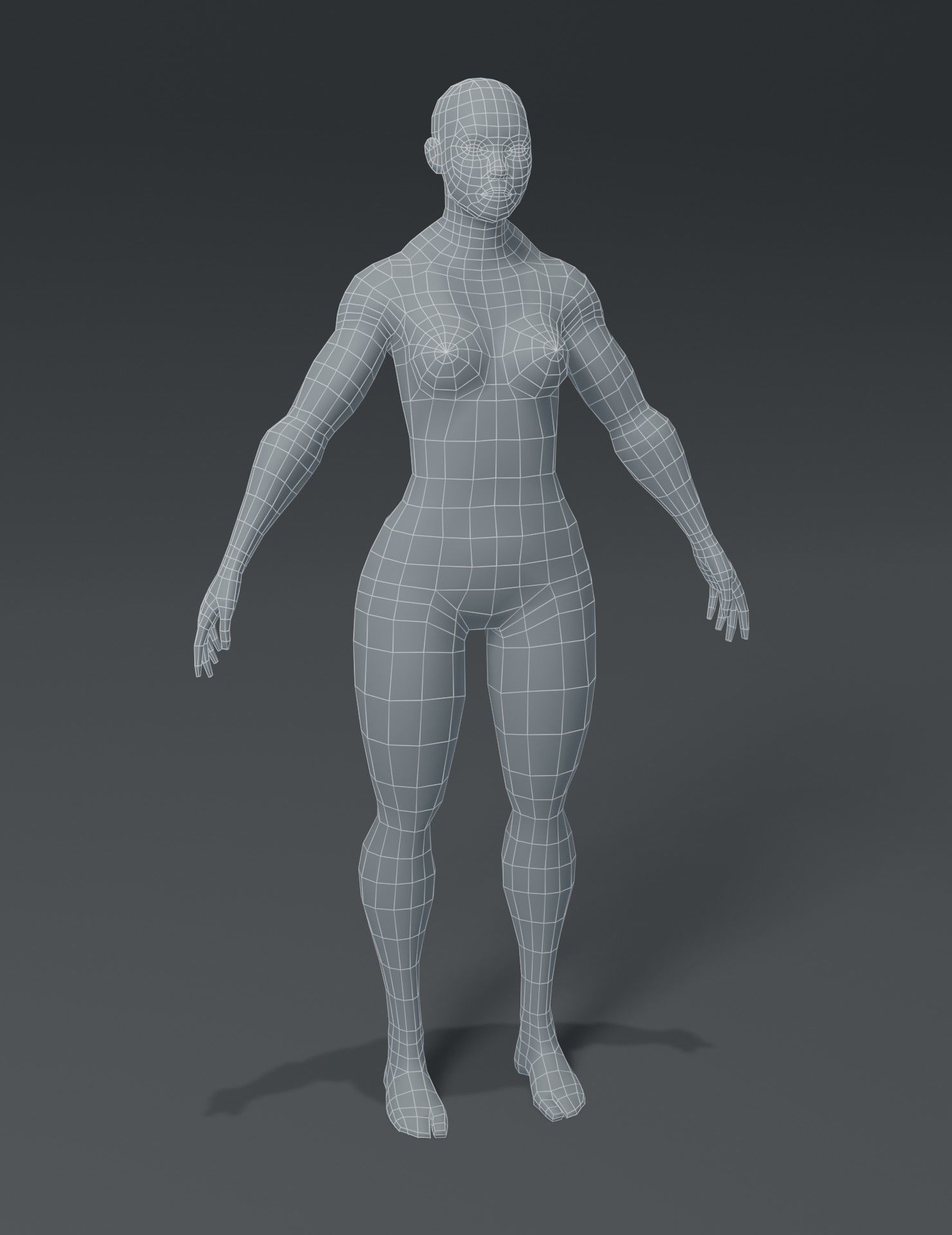 Human Body Base Mesh 40 Models Collection _118