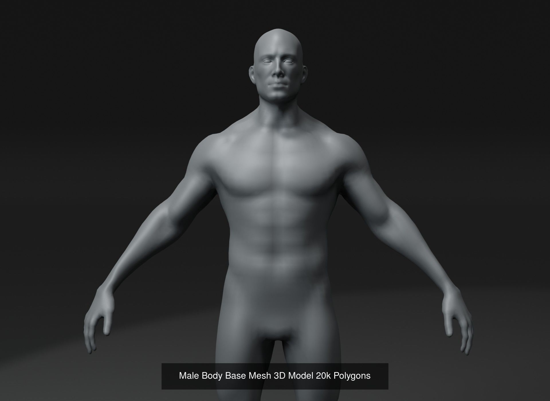 Human Body Base Mesh 40 Models Collection _87