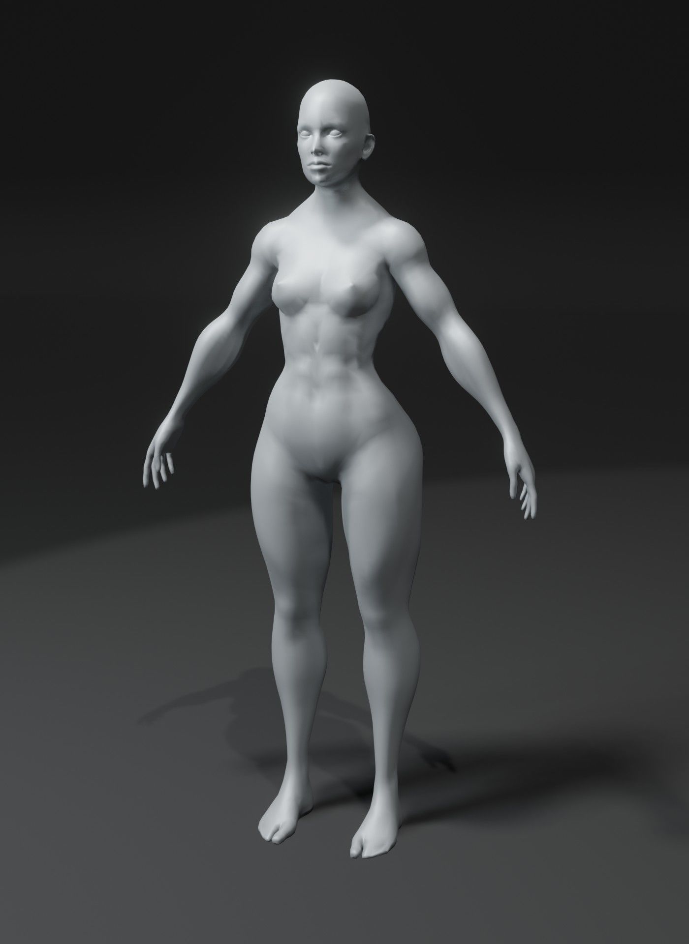 Human Body Base Mesh 40 Models Collection _100