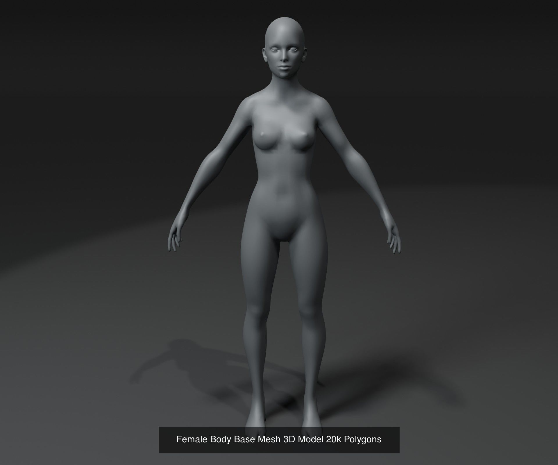 Human Body Base Mesh 40 Models Collection _89