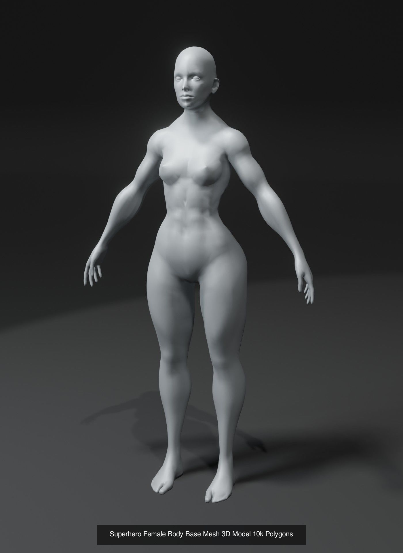 Human Body Base Mesh 40 Models Collection _113