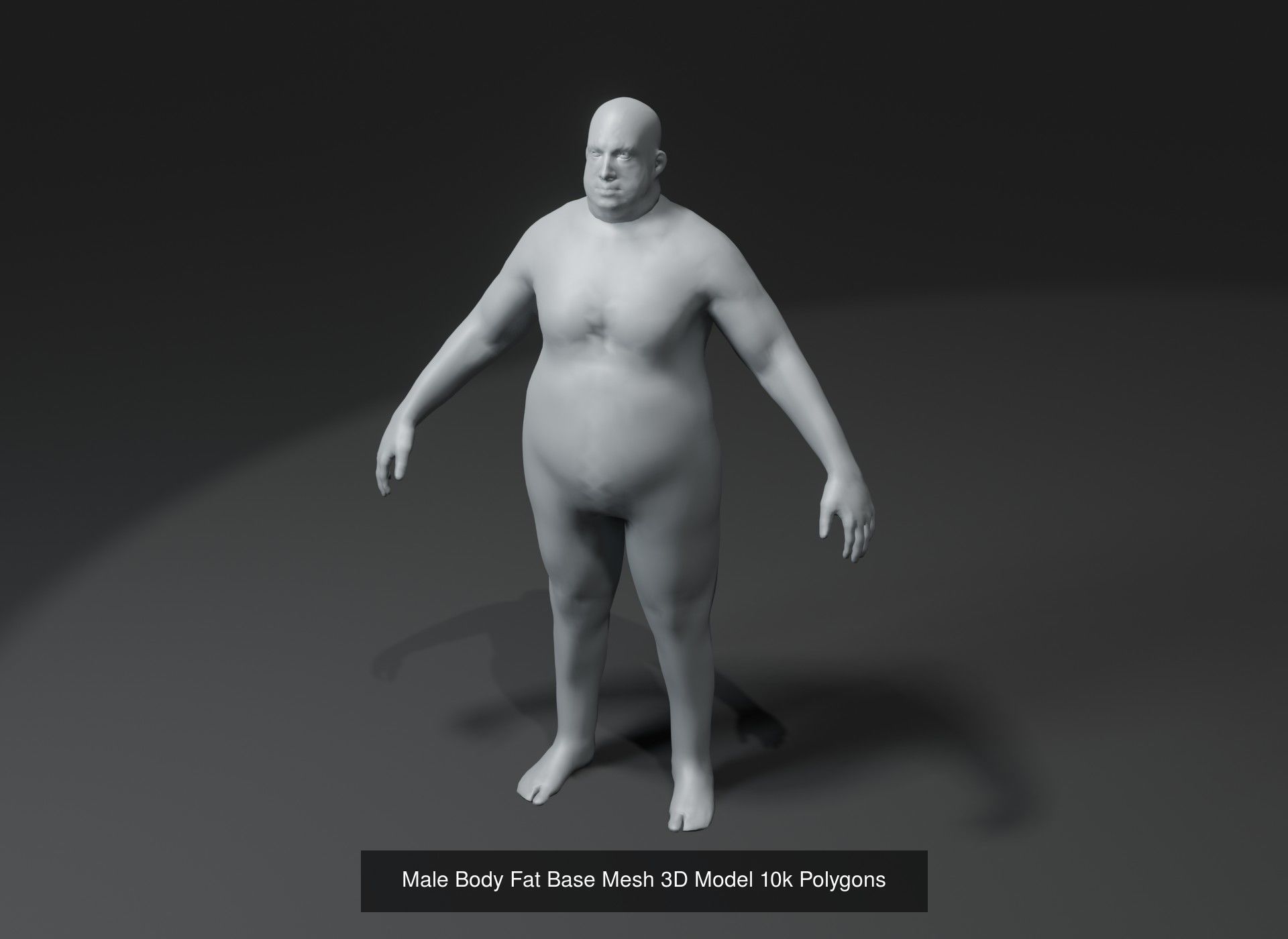 Human Body Base Mesh 40 Models Collection _115