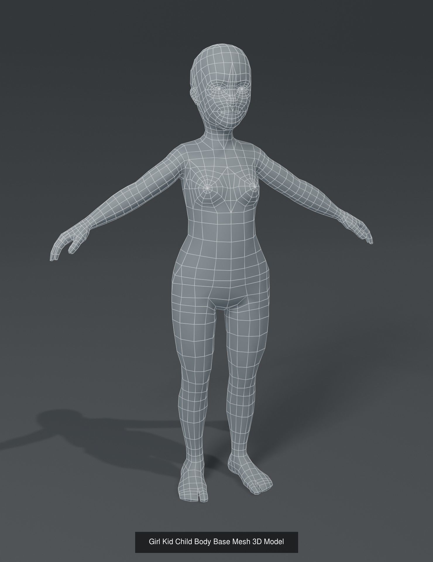 Human Body Base Mesh 40 Models Collection _57