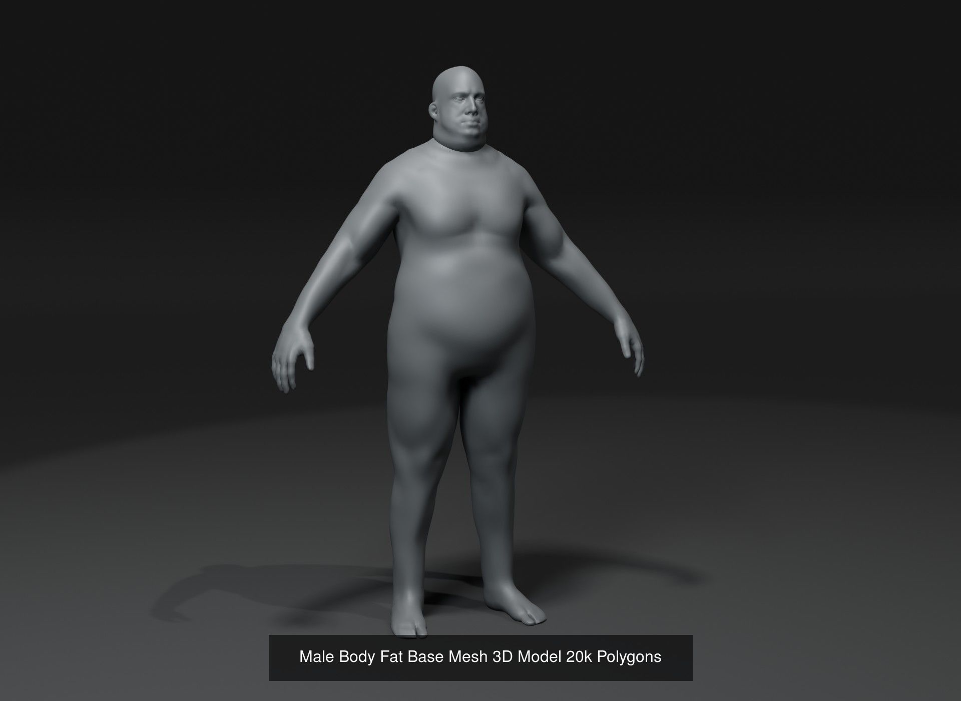 Human Body Base Mesh 40 Models Collection _95