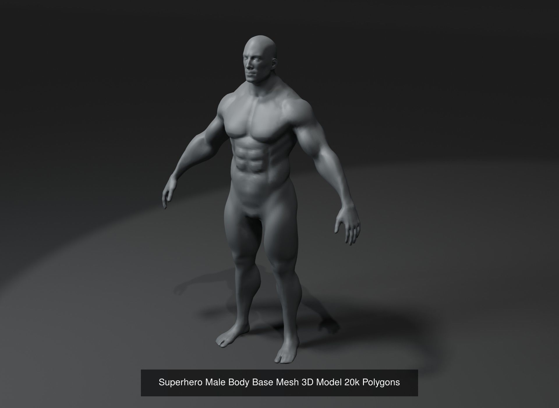 Human Body Base Mesh 40 Models Collection _103