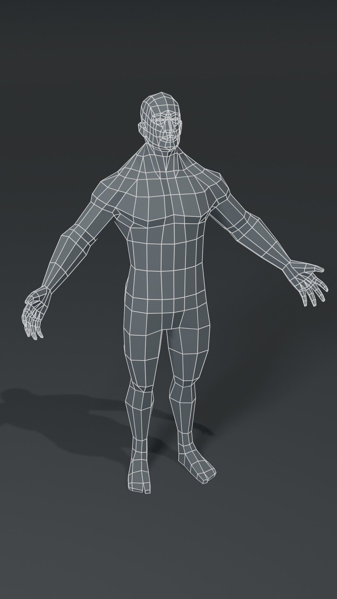 Human Body Base Mesh 40 Models Collection _126