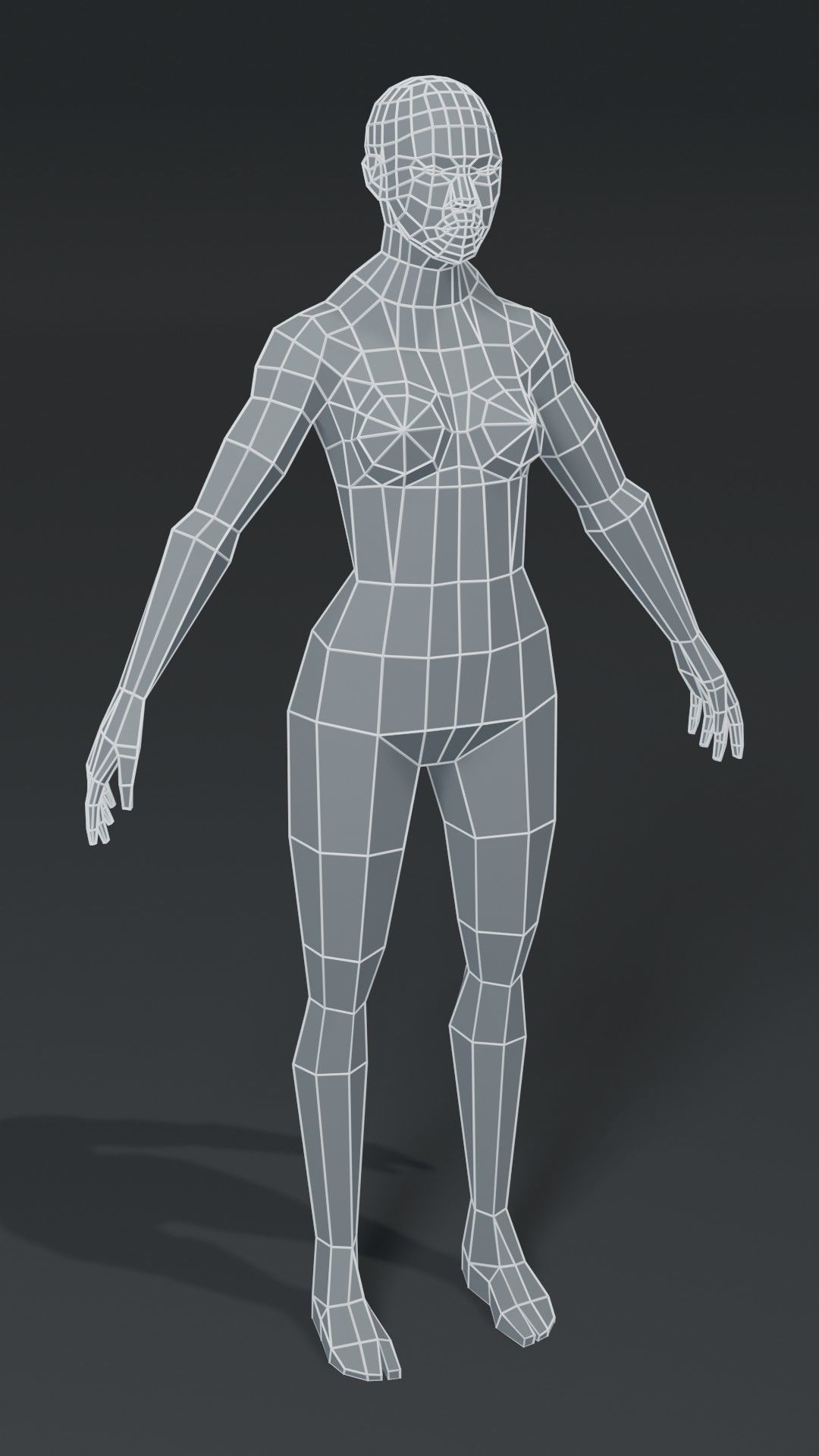 Human Body Base Mesh 40 Models Collection _110