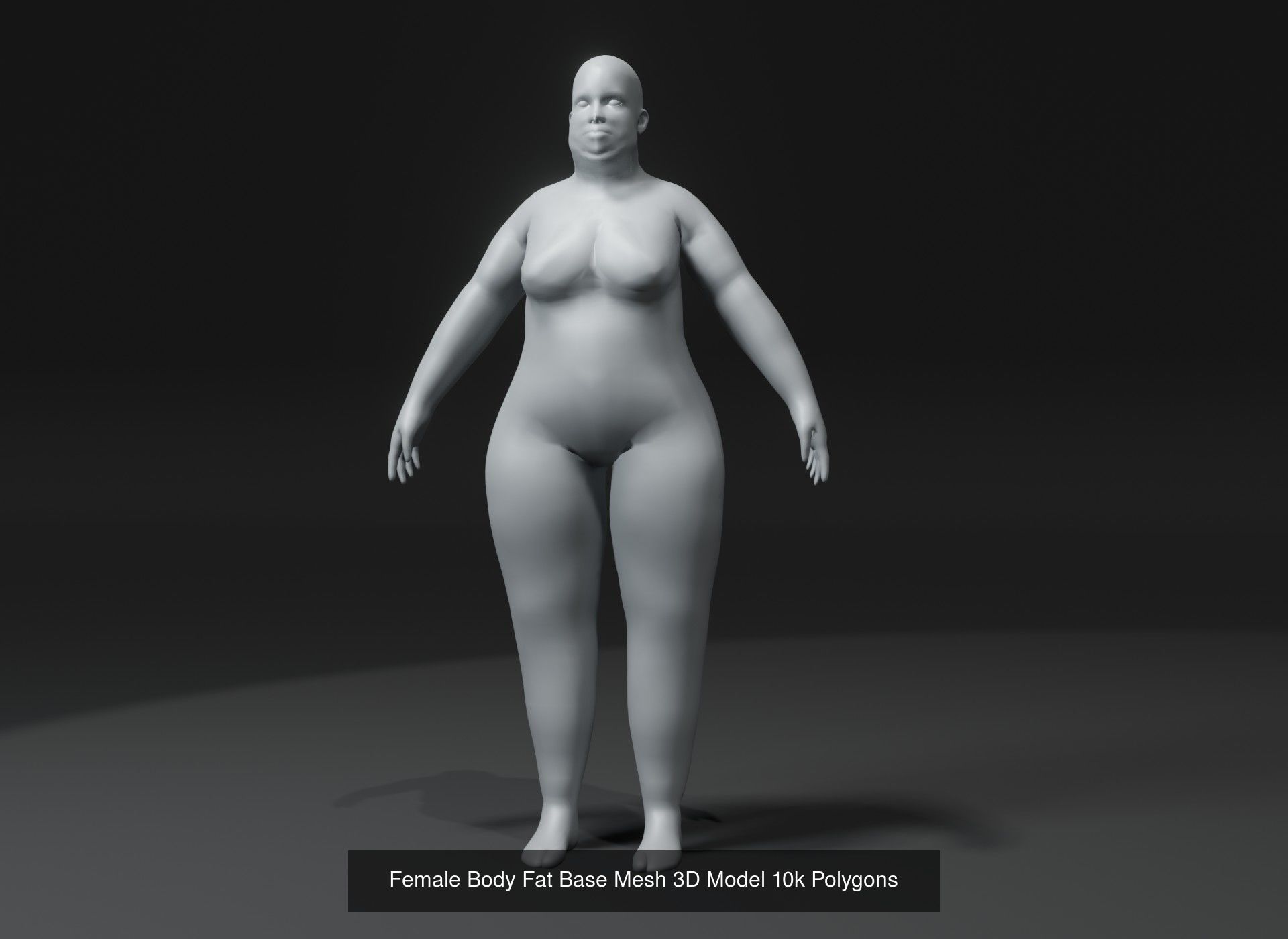Human Body Base Mesh 40 Models Collection _117