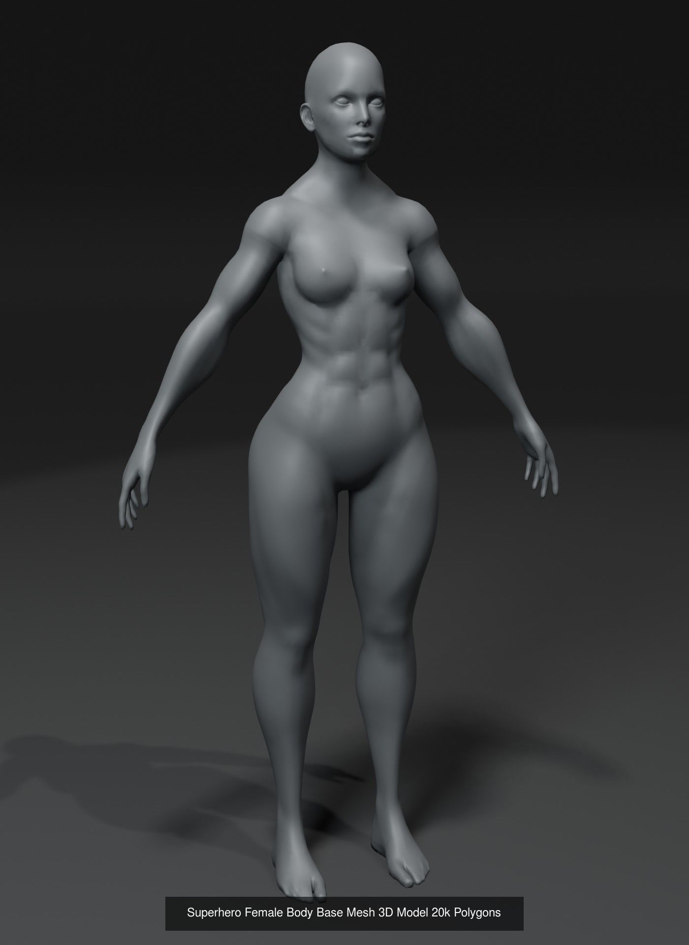 Human Body Base Mesh 40 Models Collection _105