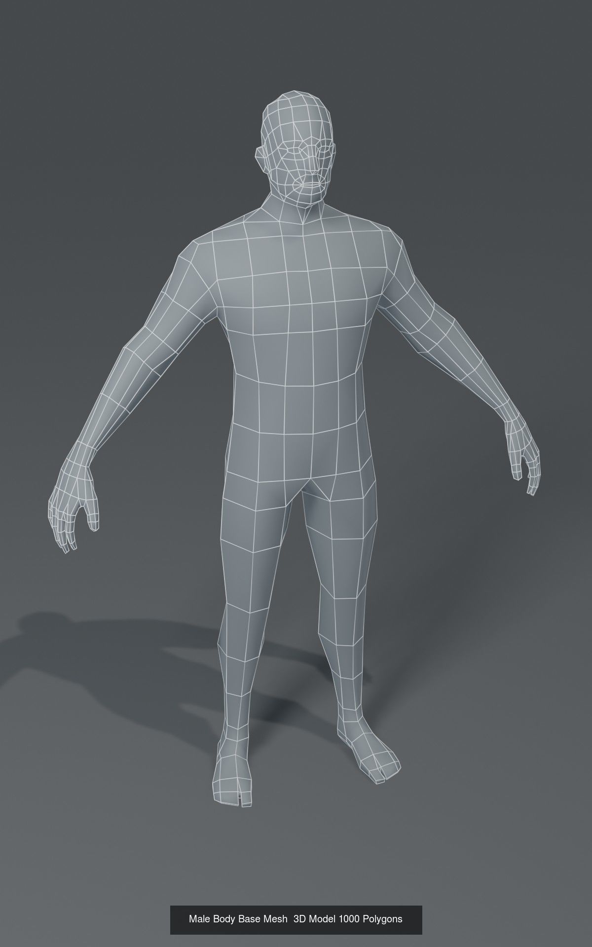 Human Body Base Mesh 40 Models Collection _63