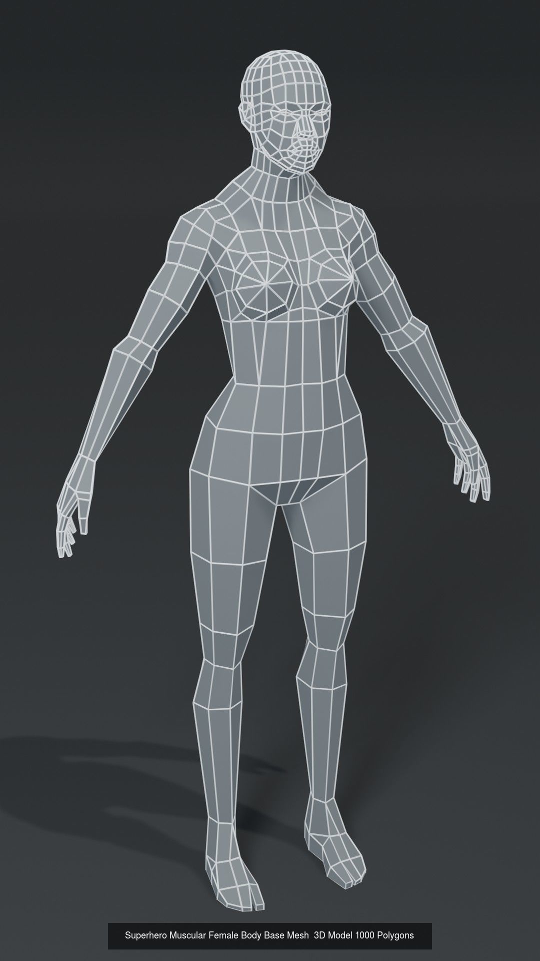 Human Body Base Mesh 40 Models Collection _73