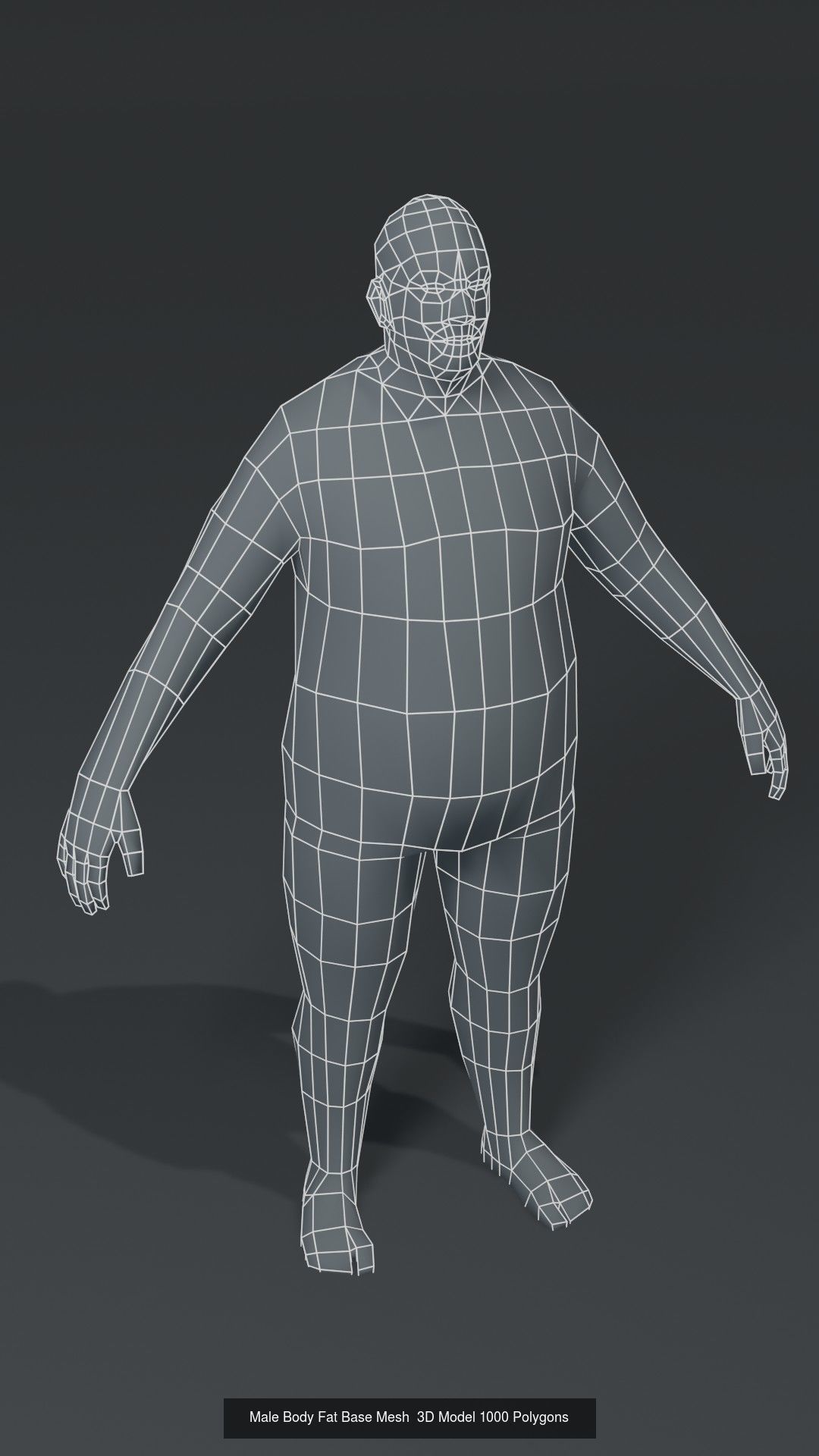 Human Body Base Mesh 40 Models Collection _75