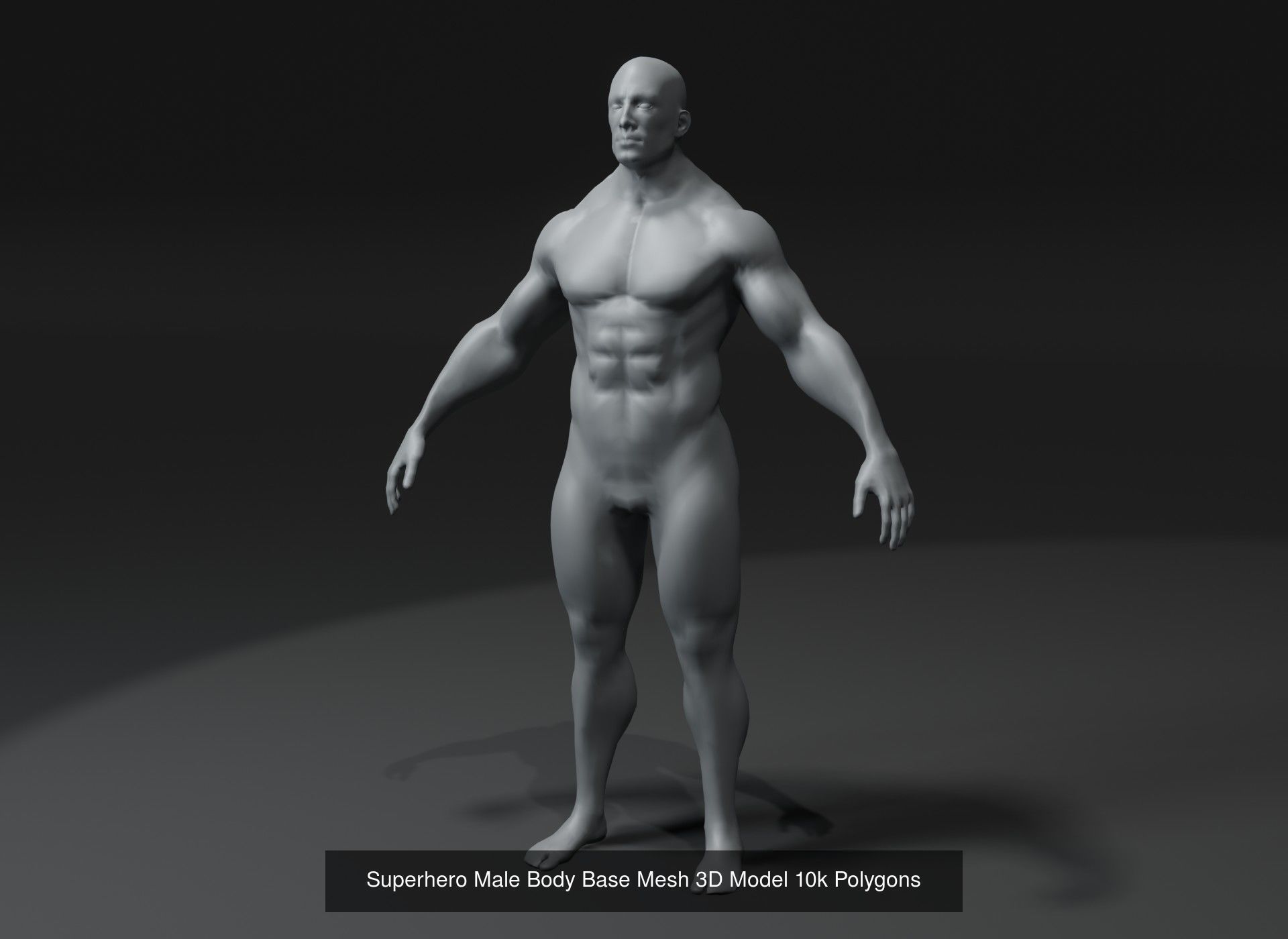 Human Body Base Mesh 40 Models Collection _111