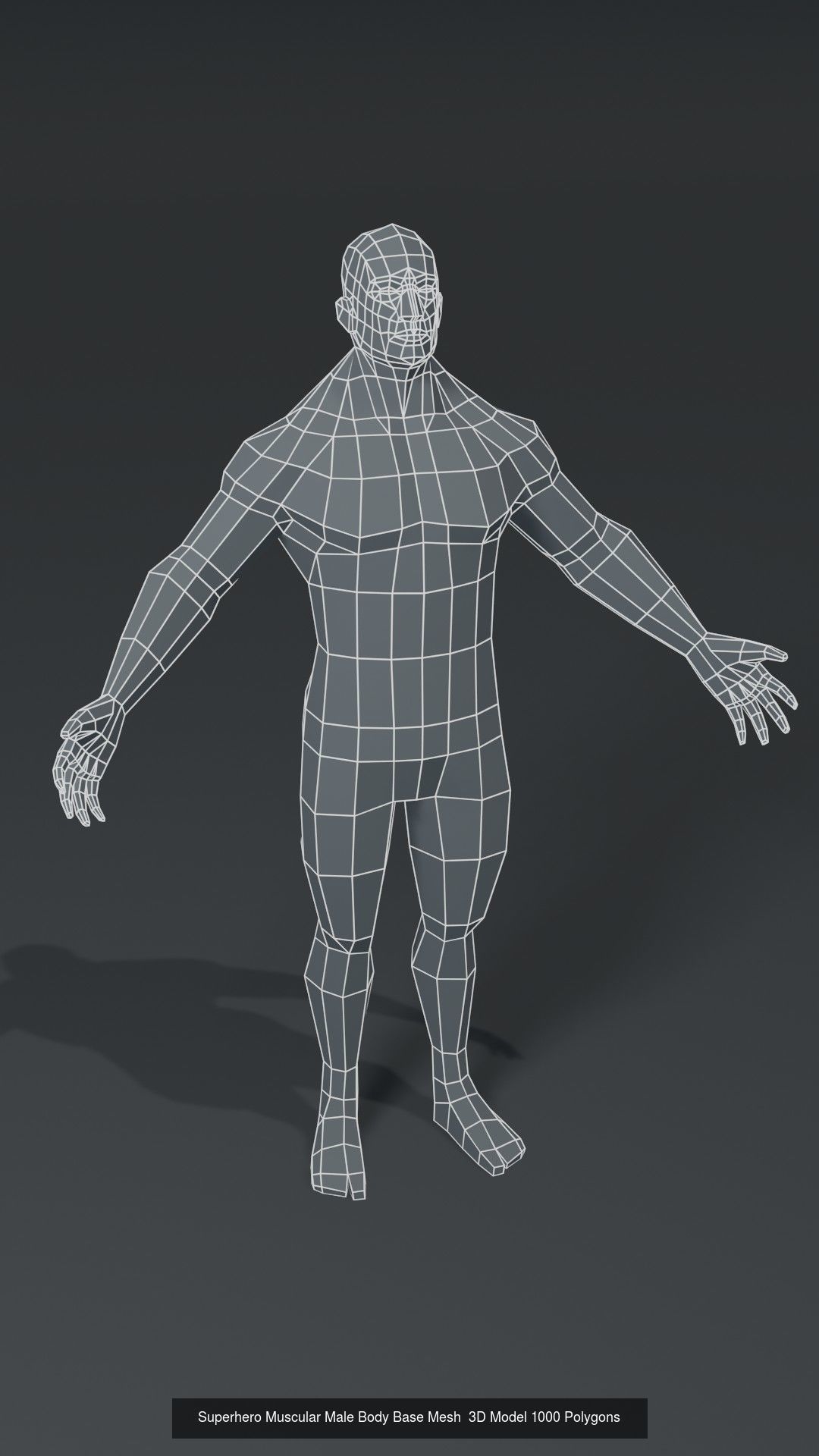 Human Body Base Mesh 40 Models Collection _71