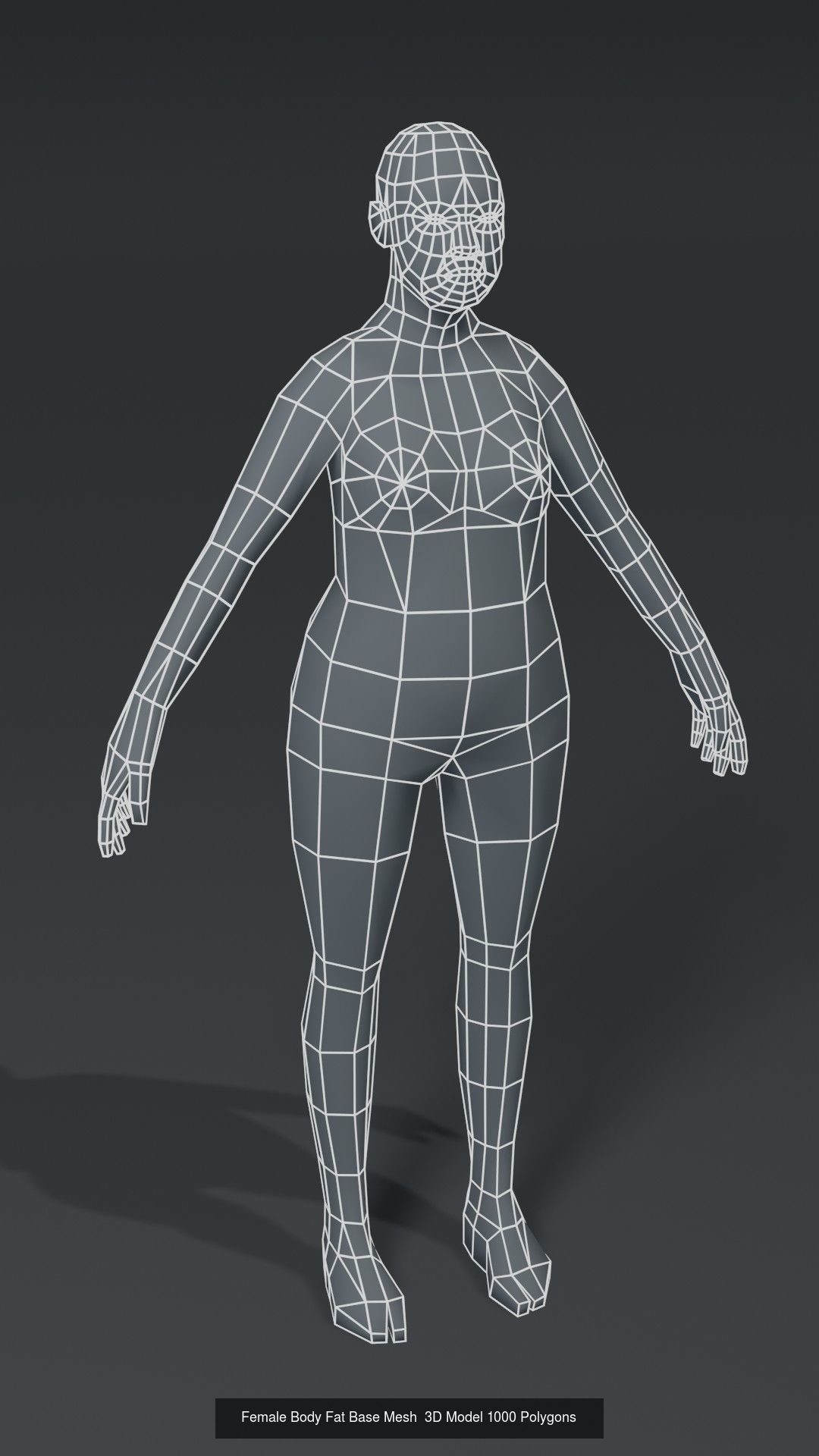 Human Body Base Mesh 40 Models Collection _77
