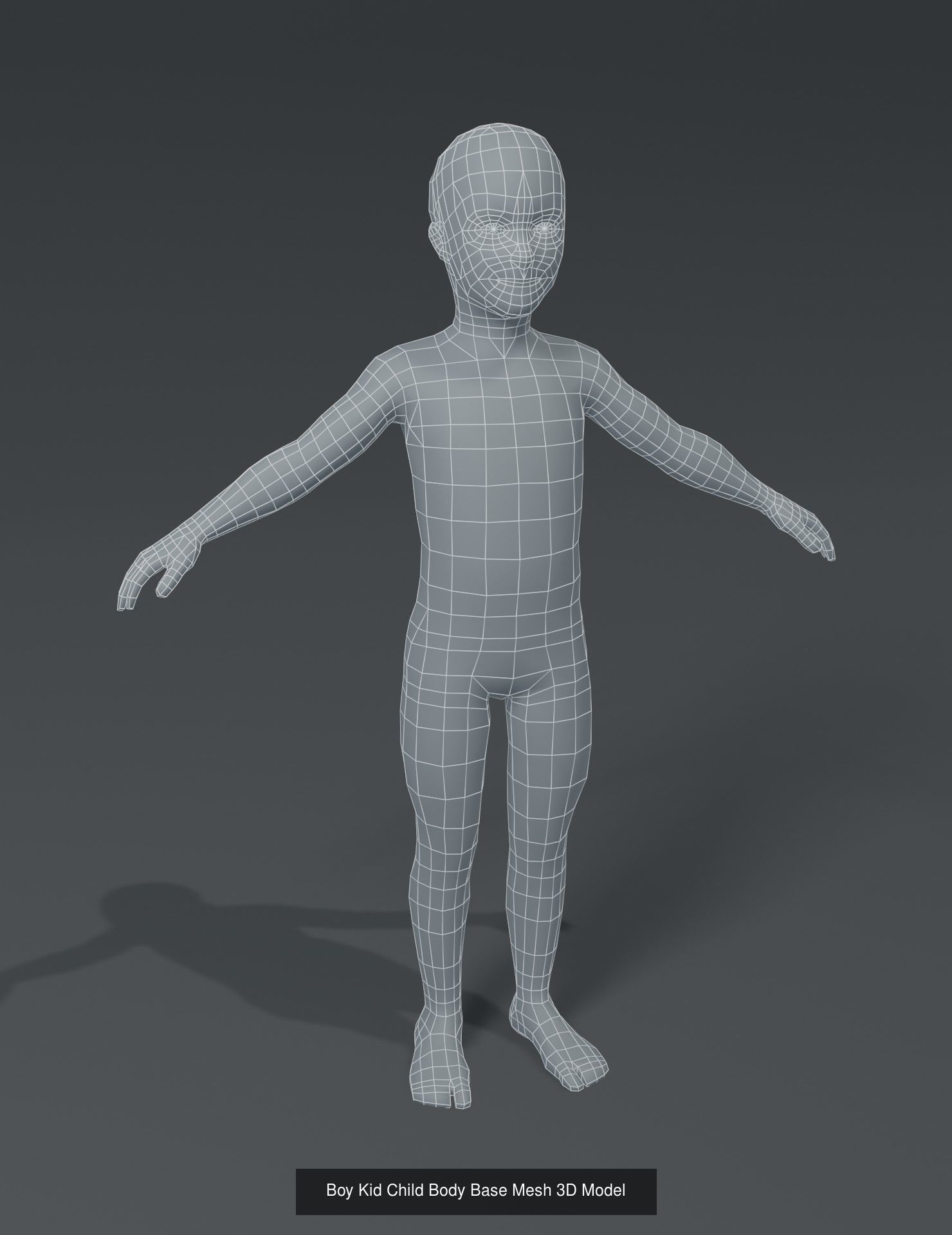 Human Body Base Mesh 40 Models Collection _55