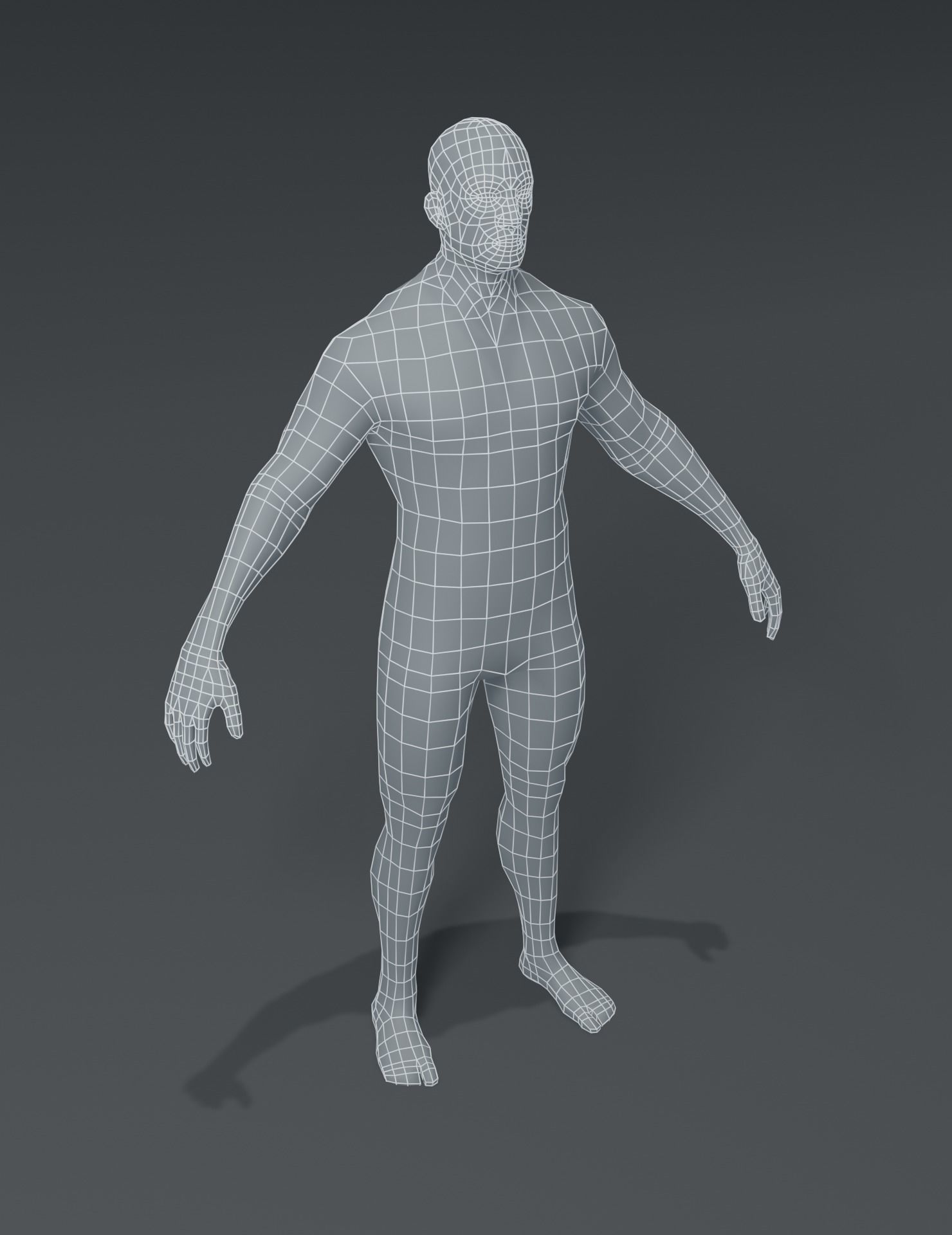 Human Body Base Mesh 40 Models Collection _128