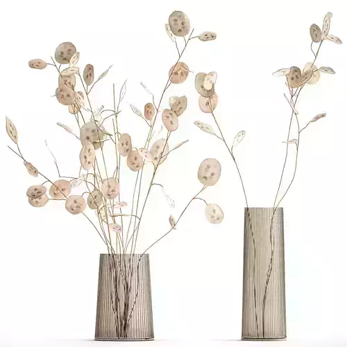 Bouquet of dried flowers  Lunaria in a glass vase 129 3D model