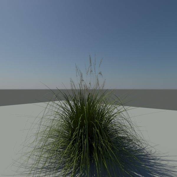 Japanese Silver Grass With Flower 3D model_5