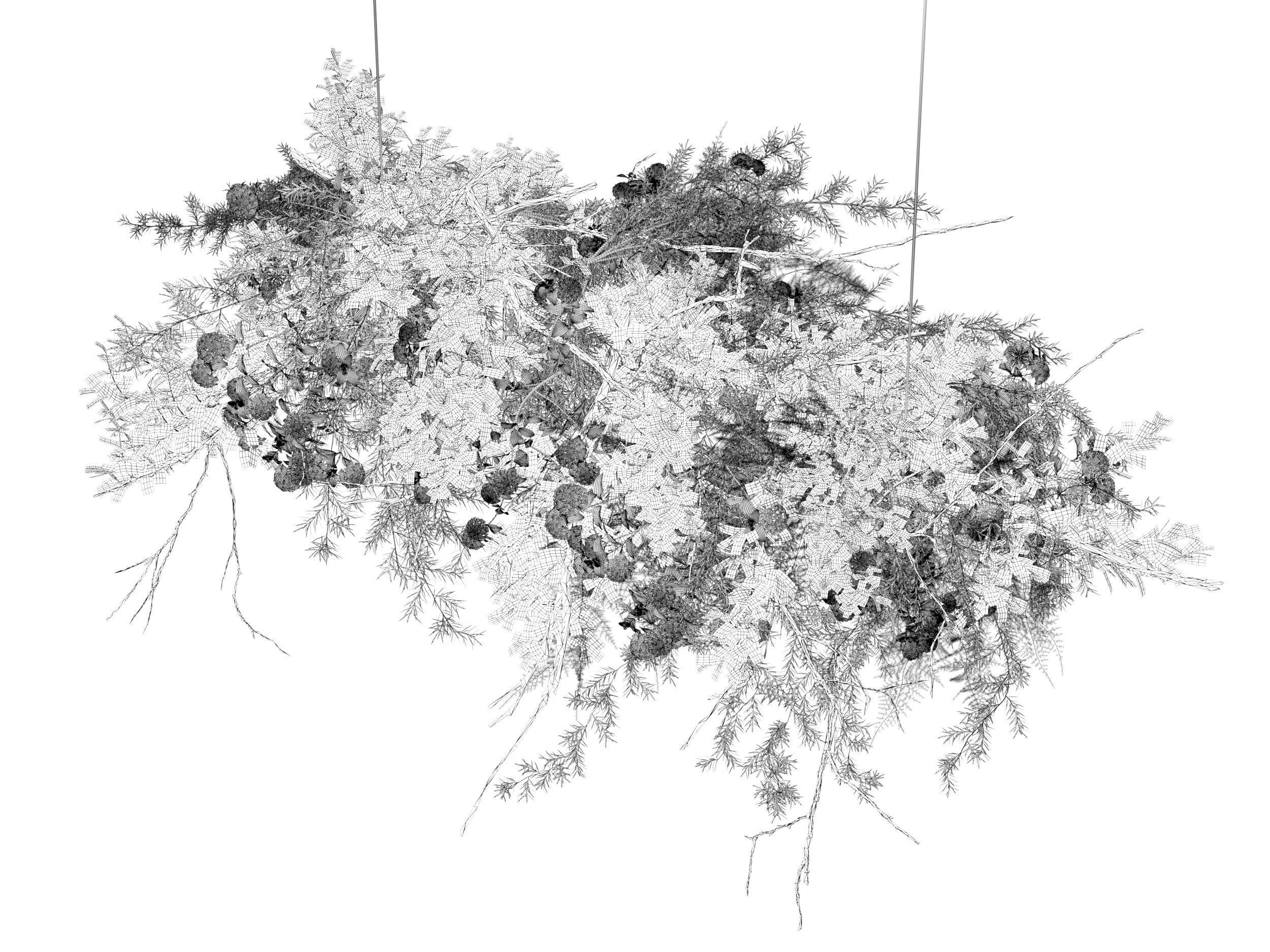 Hanging Plants 3D model_4