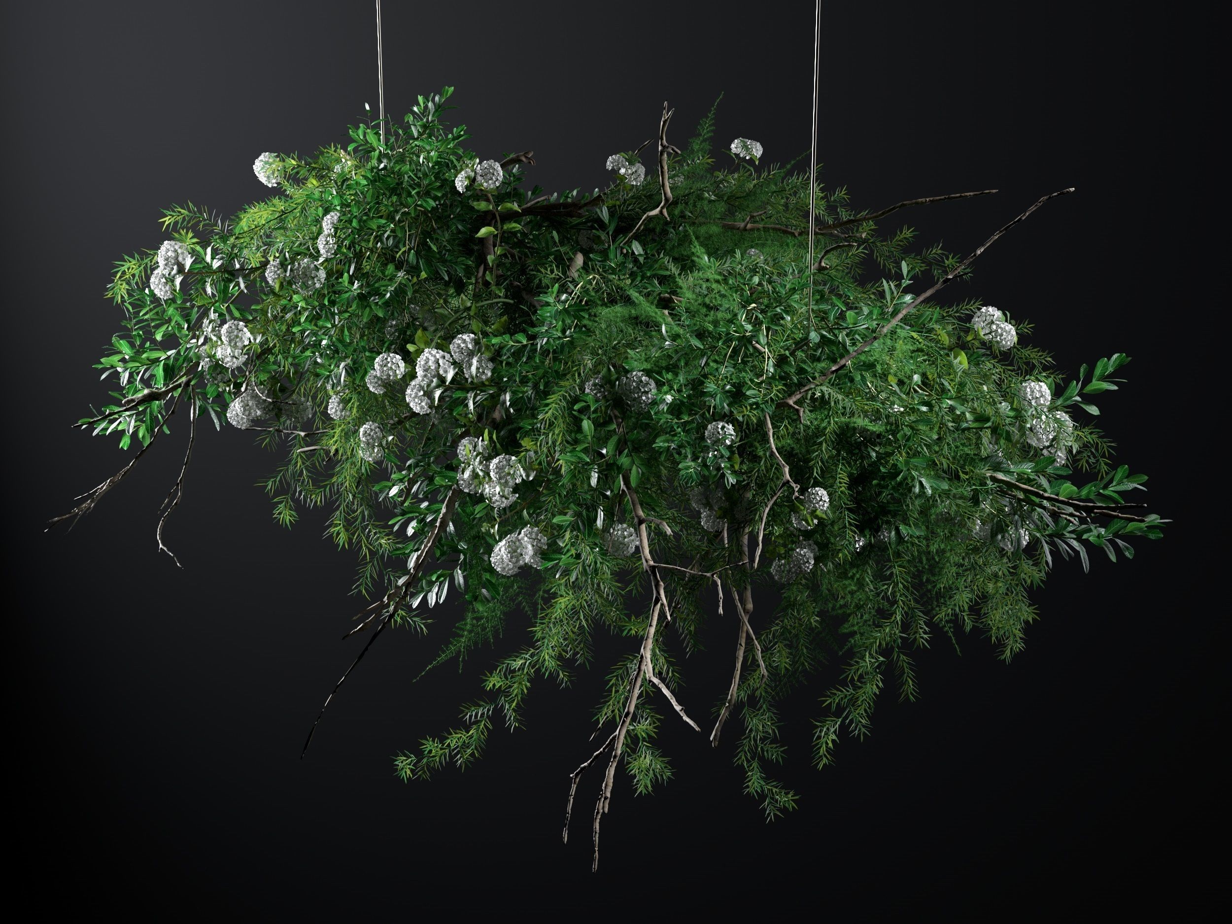 Hanging Plants 3D model_2