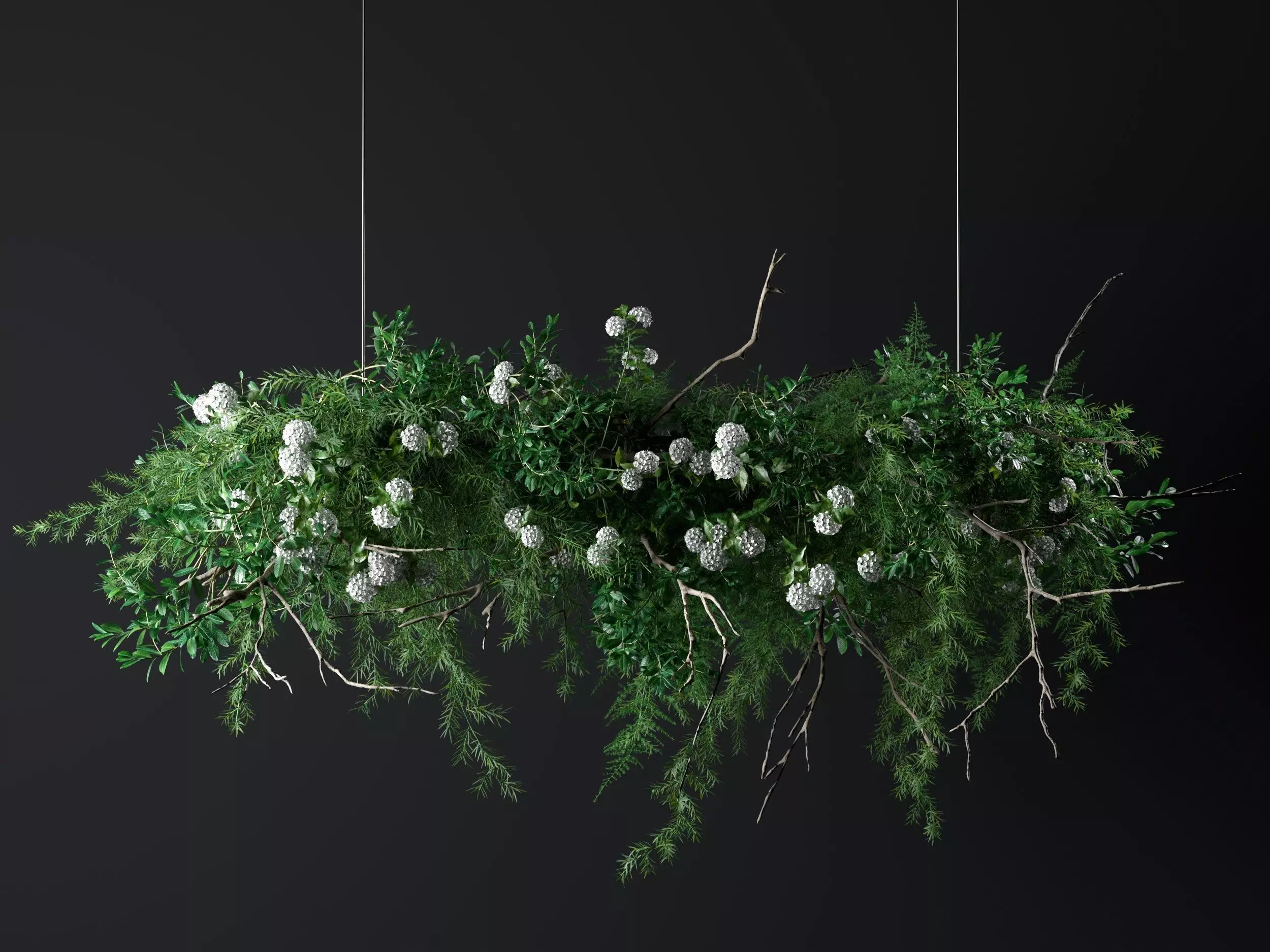 Hanging Plants 3D model_0