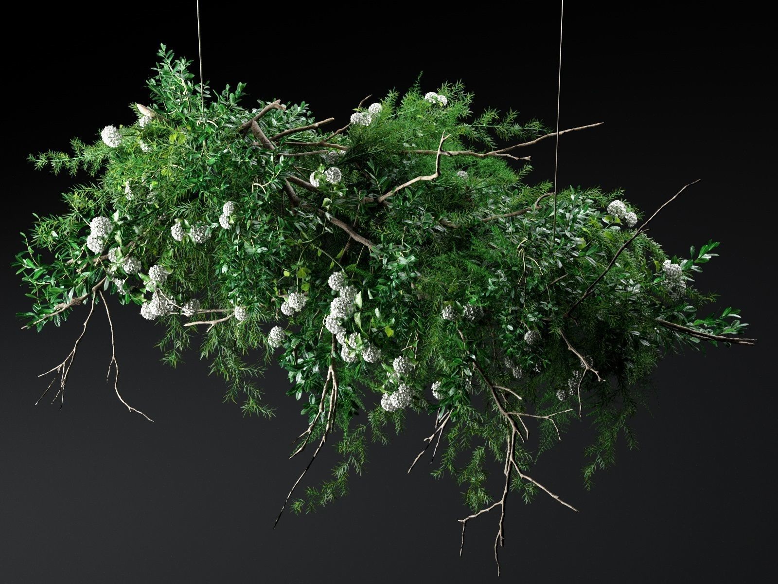 Hanging Plants 3D model_1